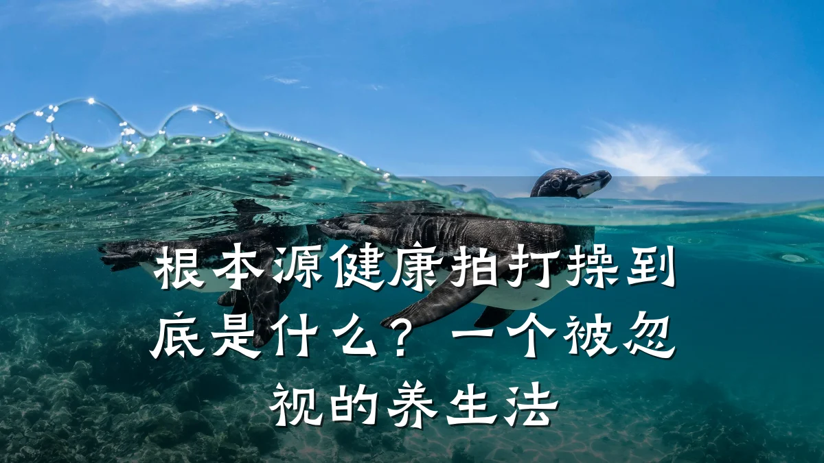 根本源健康拍打操到底是什么?一个被忽视的养生法