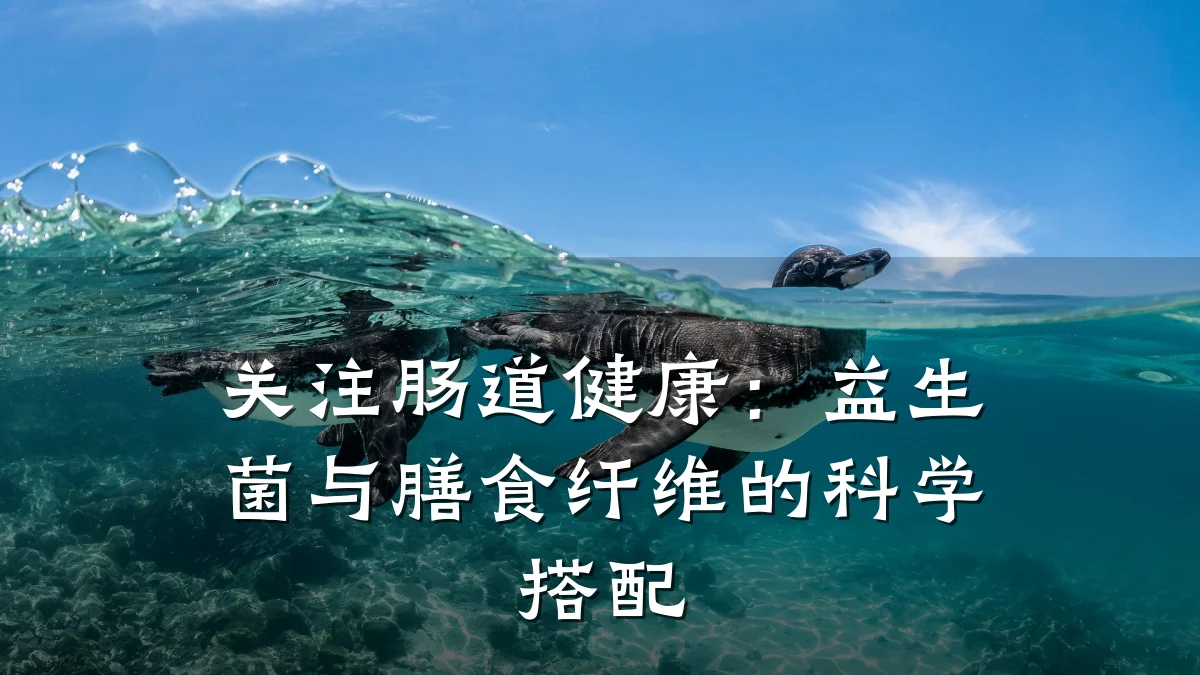 关注肠道健康:益生菌与膳食纤维的科学搭配