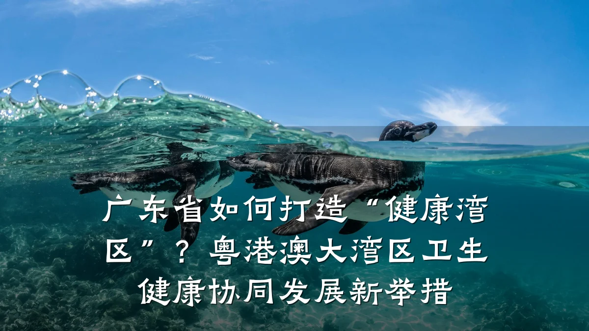 广东省如何打造“健康湾区”?粤港澳大湾区卫生健康协同发展新举措