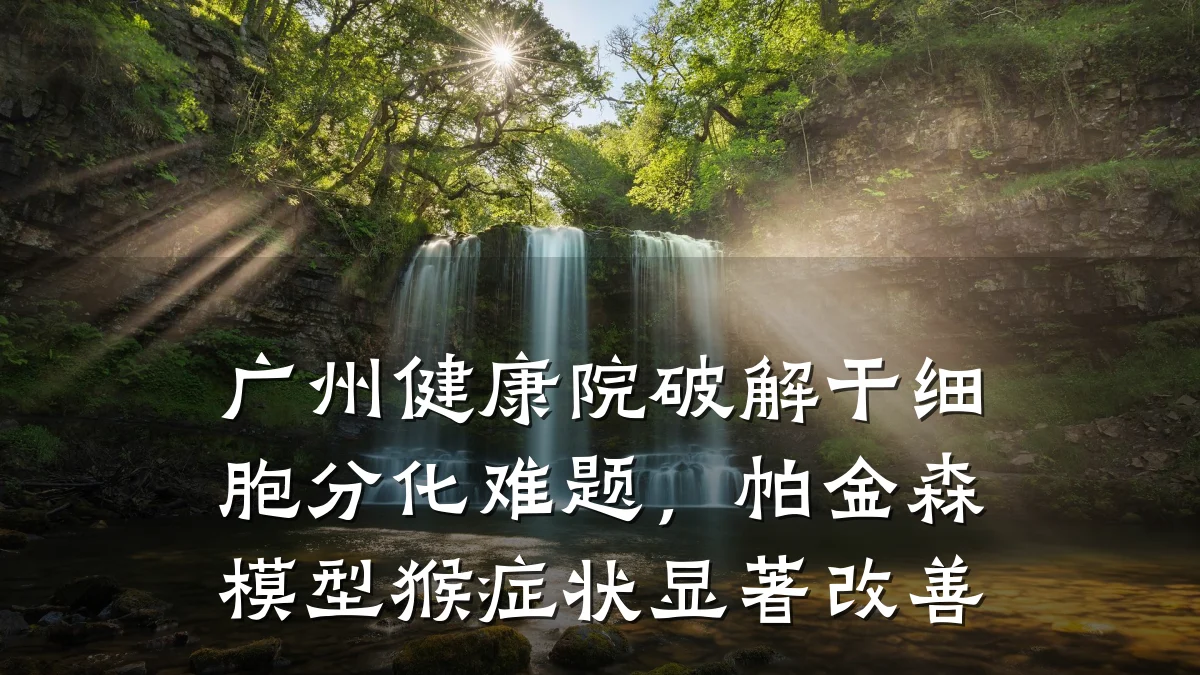 广州健康院破解干细胞分化难题,帕金森模型猴症状显著改善