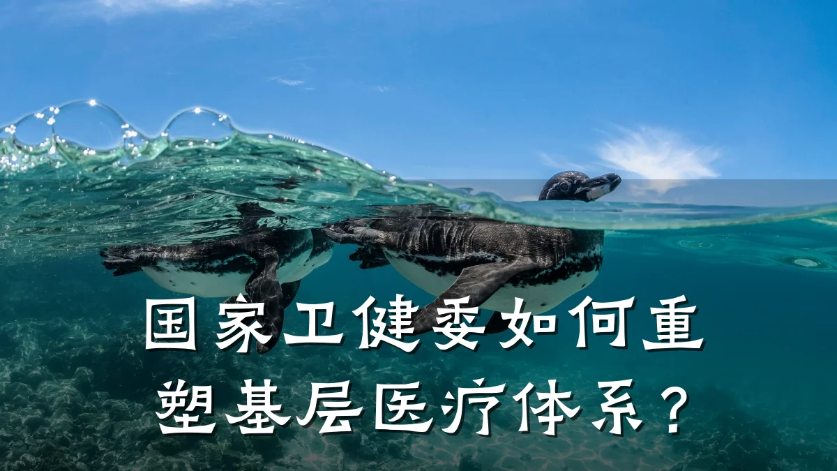 国家卫健委如何重塑基层医疗体系?