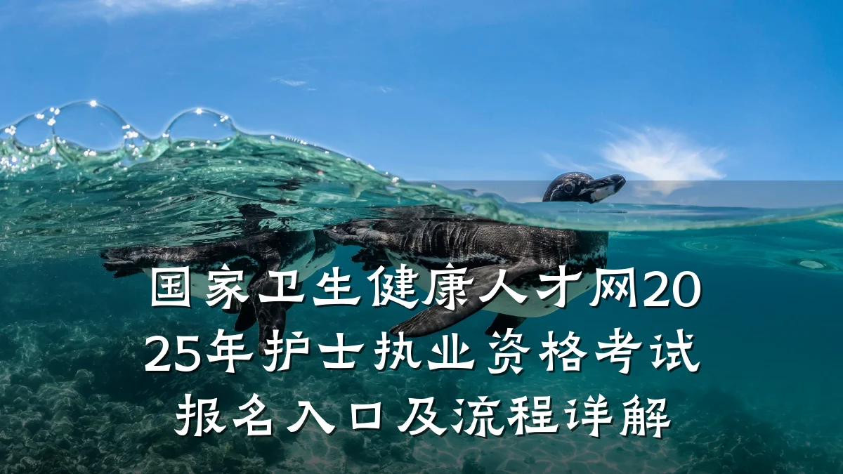 国家卫生健康人才网2025年护士执业资格考试报名入口及流程详解