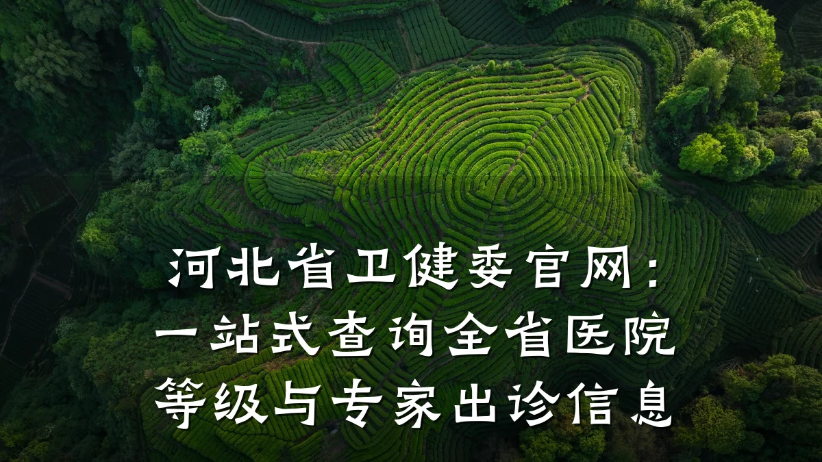 河北省卫健委官网:一站式查询全省医院等级与专家出诊信息
