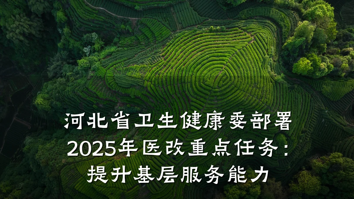 河北省卫生健康委部署2025年医改重点任务:提升基层服务能力