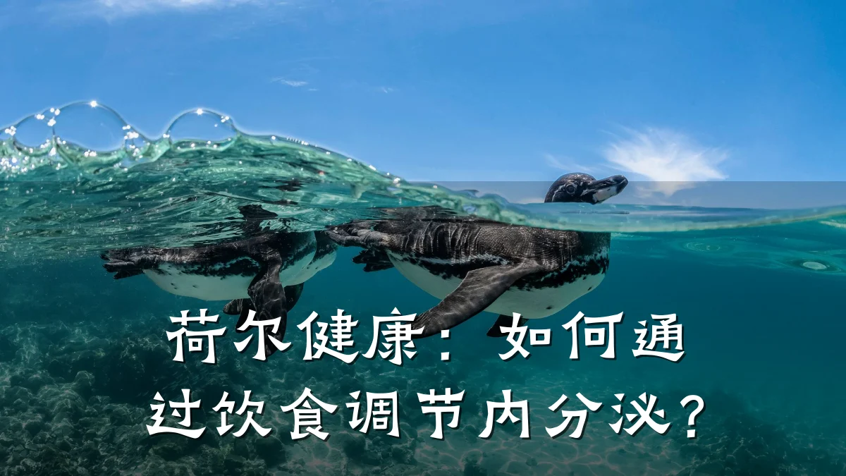 荷尔健康:如何通过饮食调节内分泌?