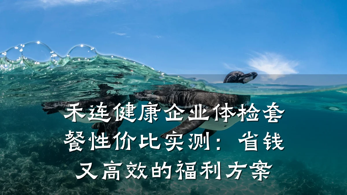 禾连健康企业体检套餐性价比实测:省钱又高效的福利方案