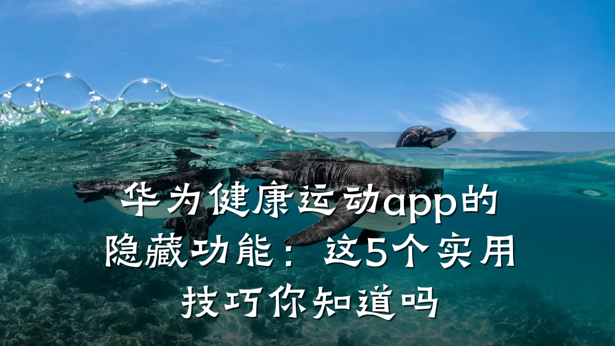 华为健康运动app的隐藏功能:这5个实用技巧你知道吗