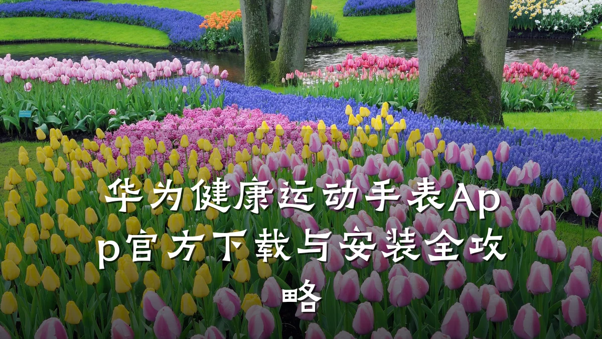 华为健康运动手表App官方下载与安装全攻略