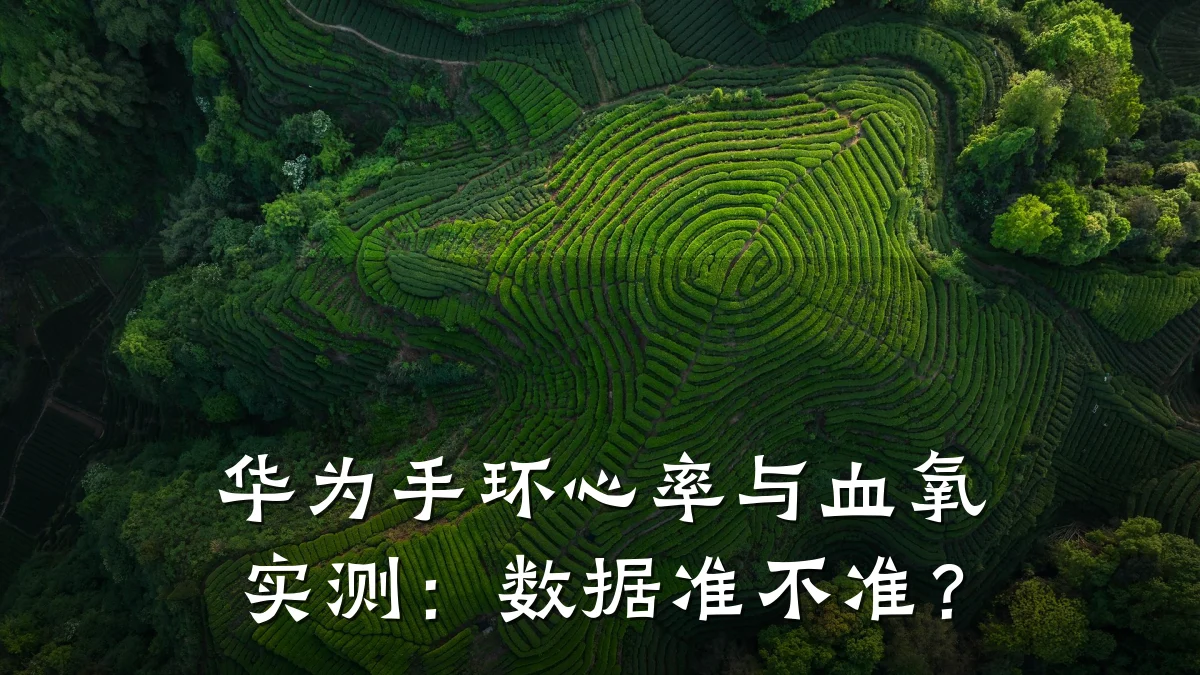华为手环心率与血氧实测:数据准不准?