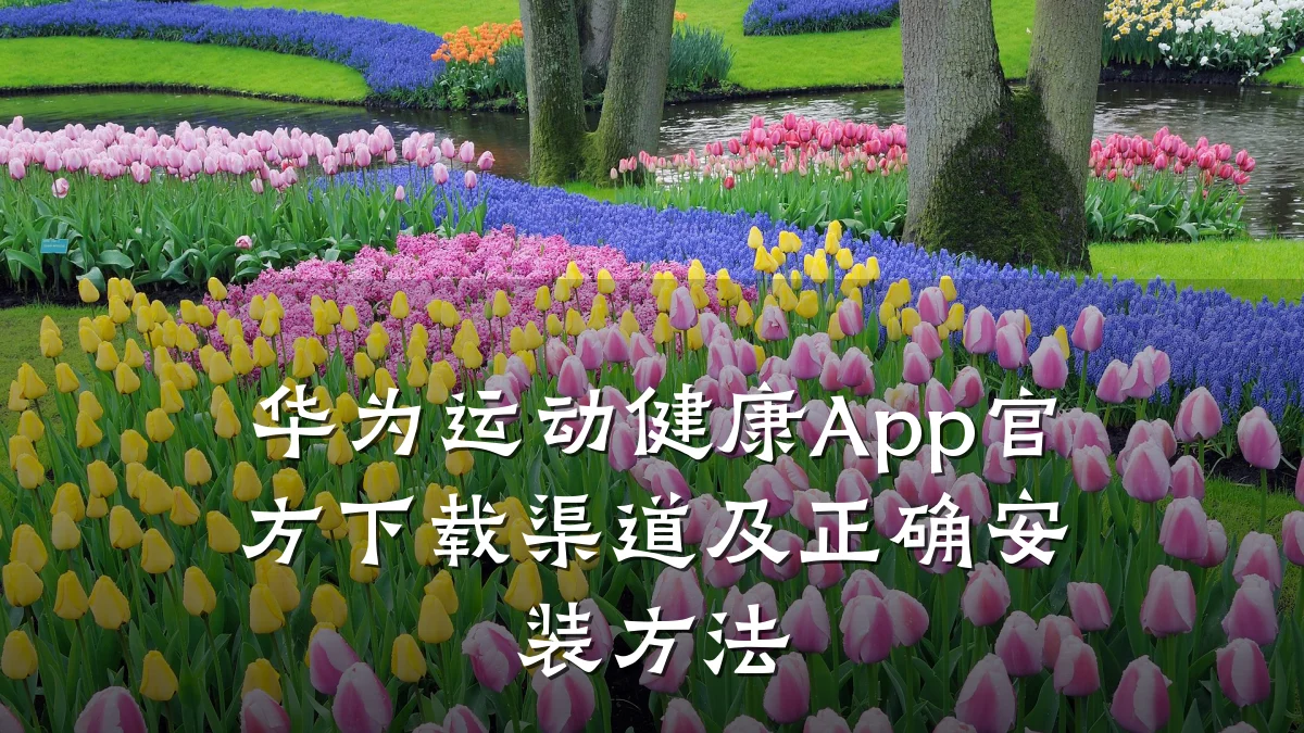 华为运动健康App官方下载渠道及正确安装方法