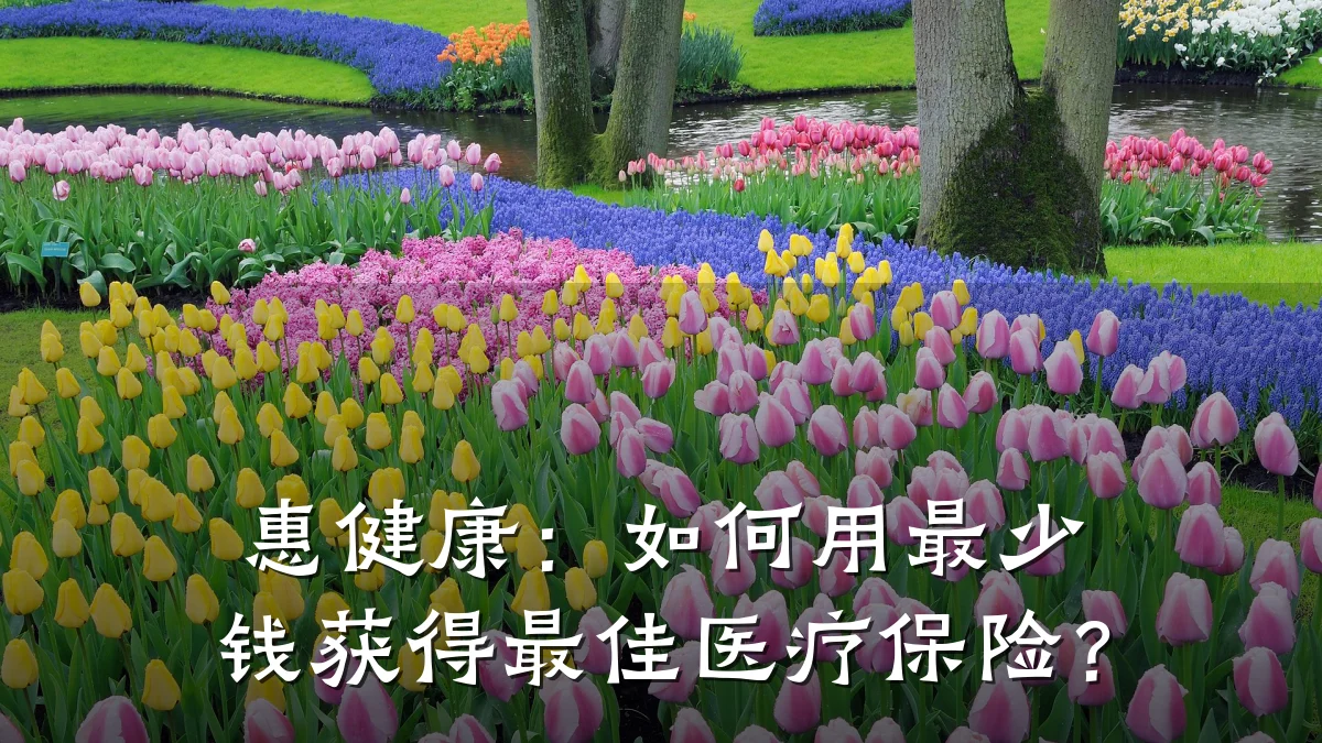 惠健康:如何用最少钱获得最佳医疗保险?