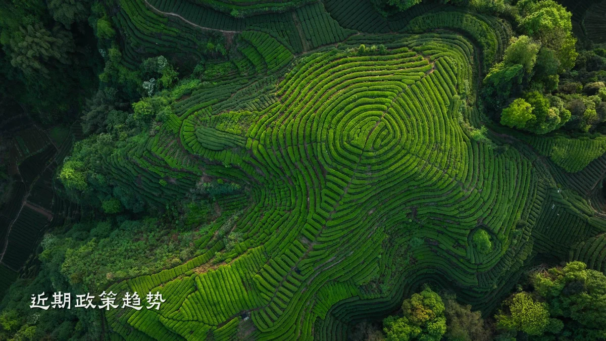 近期政策趋势