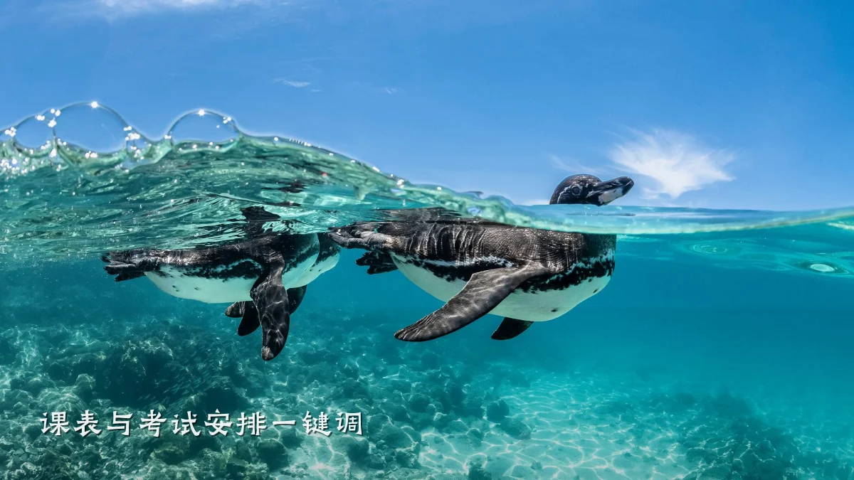 课表与考试安排一键调