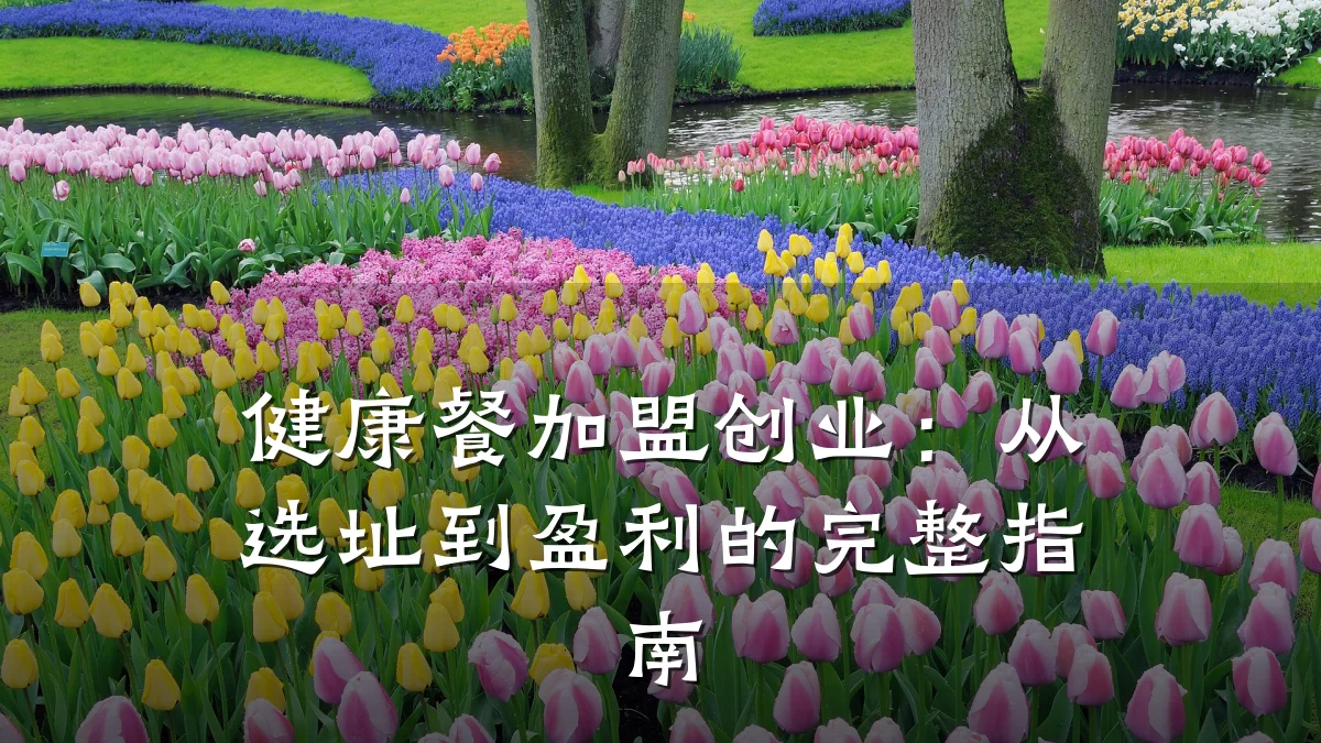 健康餐加盟创业:从选址到盈利的完整指南