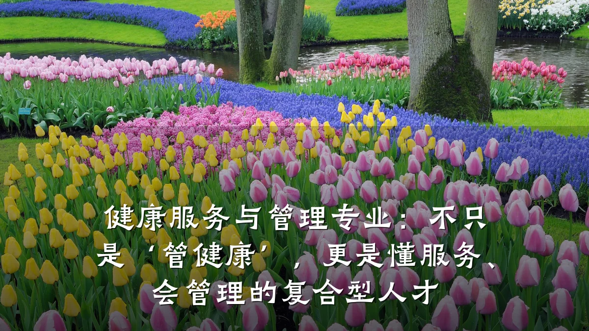 健康服务与管理专业:不只是‘管健康’,更是懂服务、会管理的复合型人才