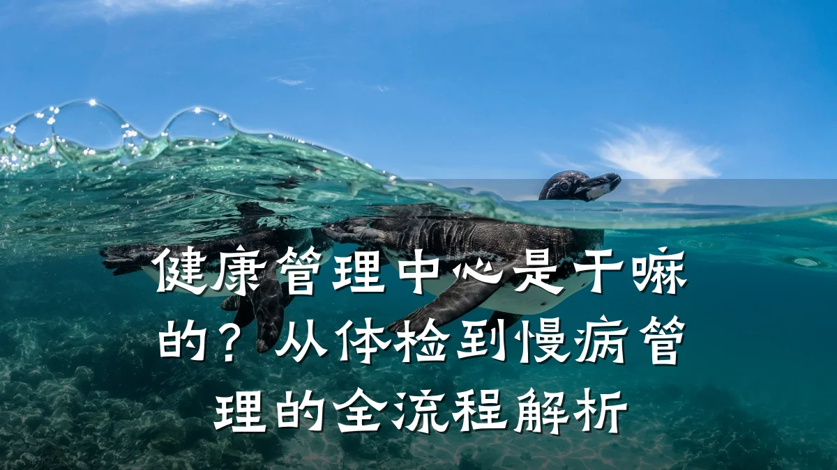 健康管理中心是干嘛的?从体检到慢病管理的全流程解析