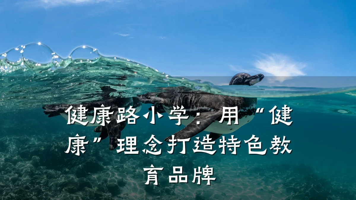 健康路小学:用“健康”理念打造特色教育品牌