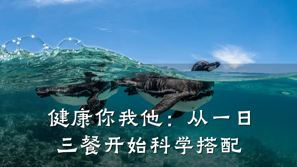 健康你我他:从一日三餐开始科学搭配