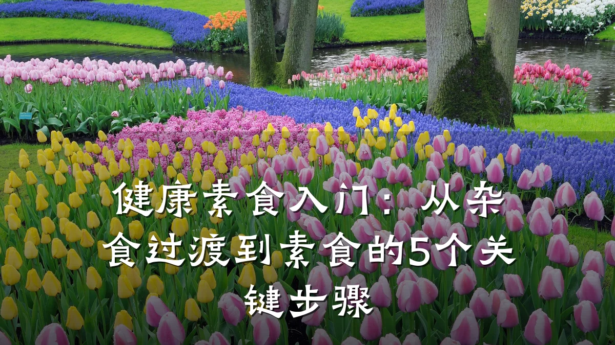健康素食入门:从杂食过渡到素食的5个关键步骤