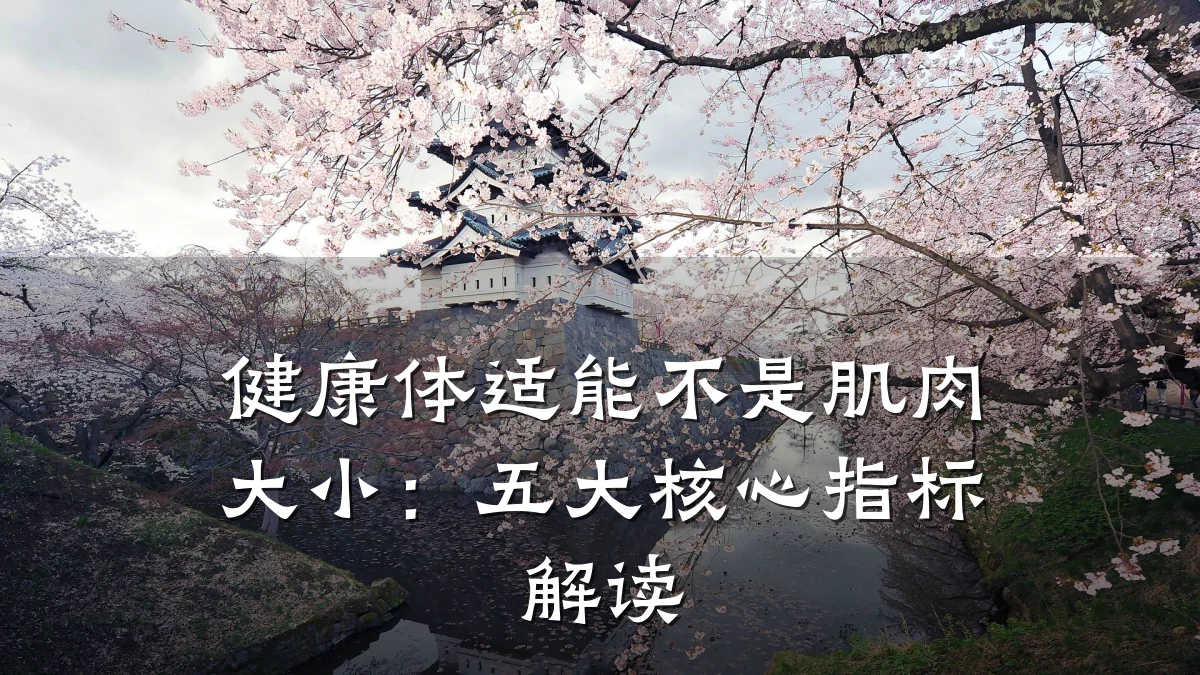 健康体适能不是肌肉大小:五大核心指标解读