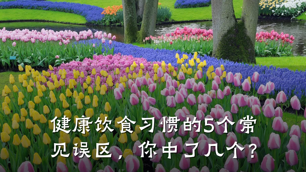 健康饮食习惯的5个常见误区,你中了几个?