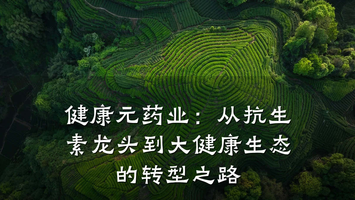 健康元药业:从抗生素龙头到大健康生态的转型之路