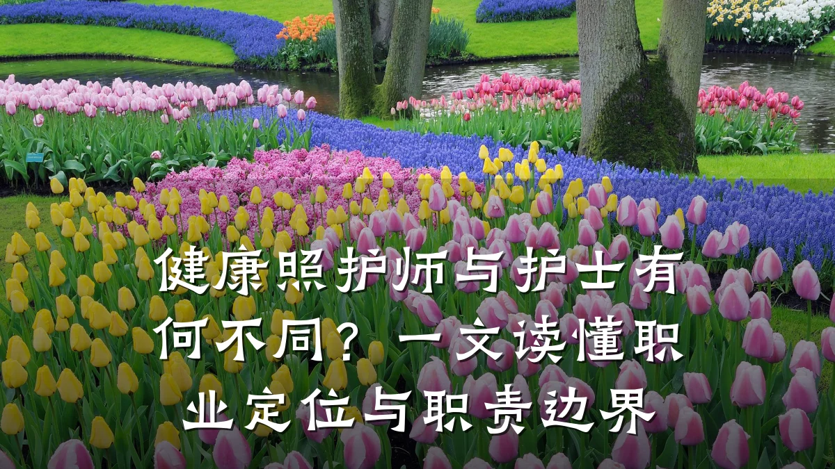 健康照护师与护士有何不同?一文读懂职业定位与职责边界