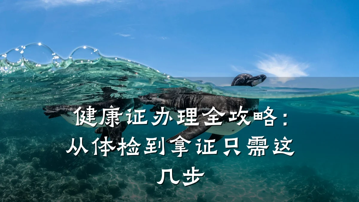 健康证办理全攻略:从体检到拿证只需这几步