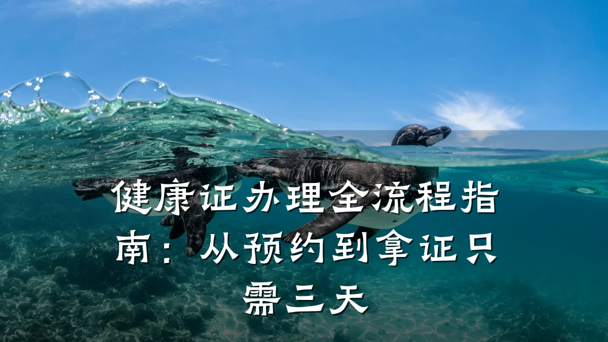 健康证办理全流程指南:从预约到拿证只需三天