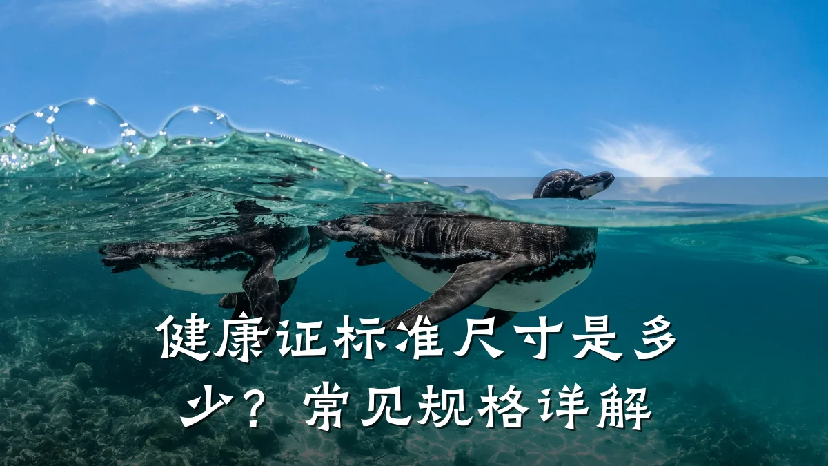 健康证标准尺寸是多少?常见规格详解