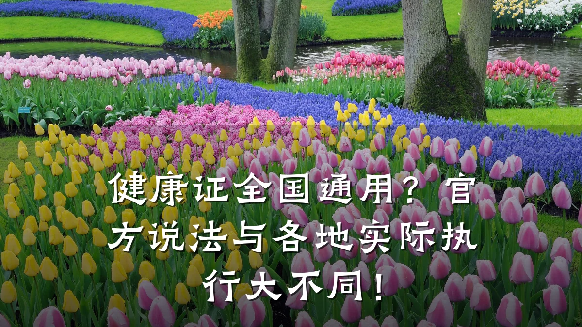 健康证全国通用?官方说法与各地实际执行大不同!