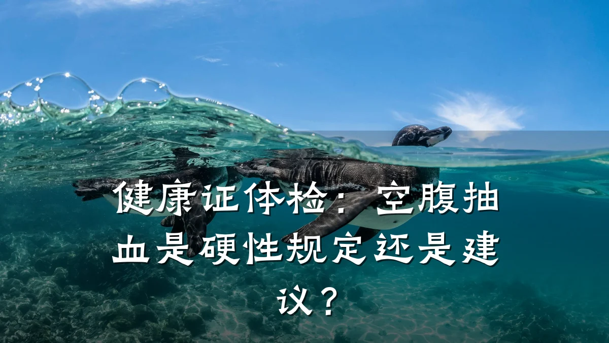 健康证体检:空腹抽血是硬性规定还是建议?