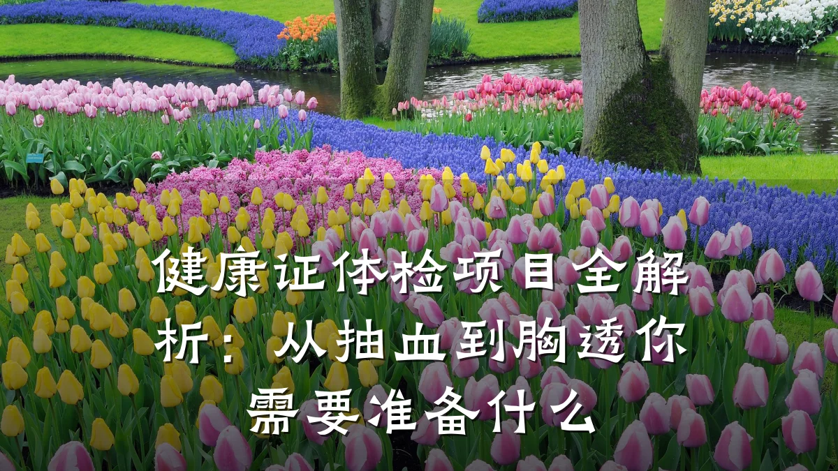 健康证体检项目全解析:从抽血到胸透你需要准备什么