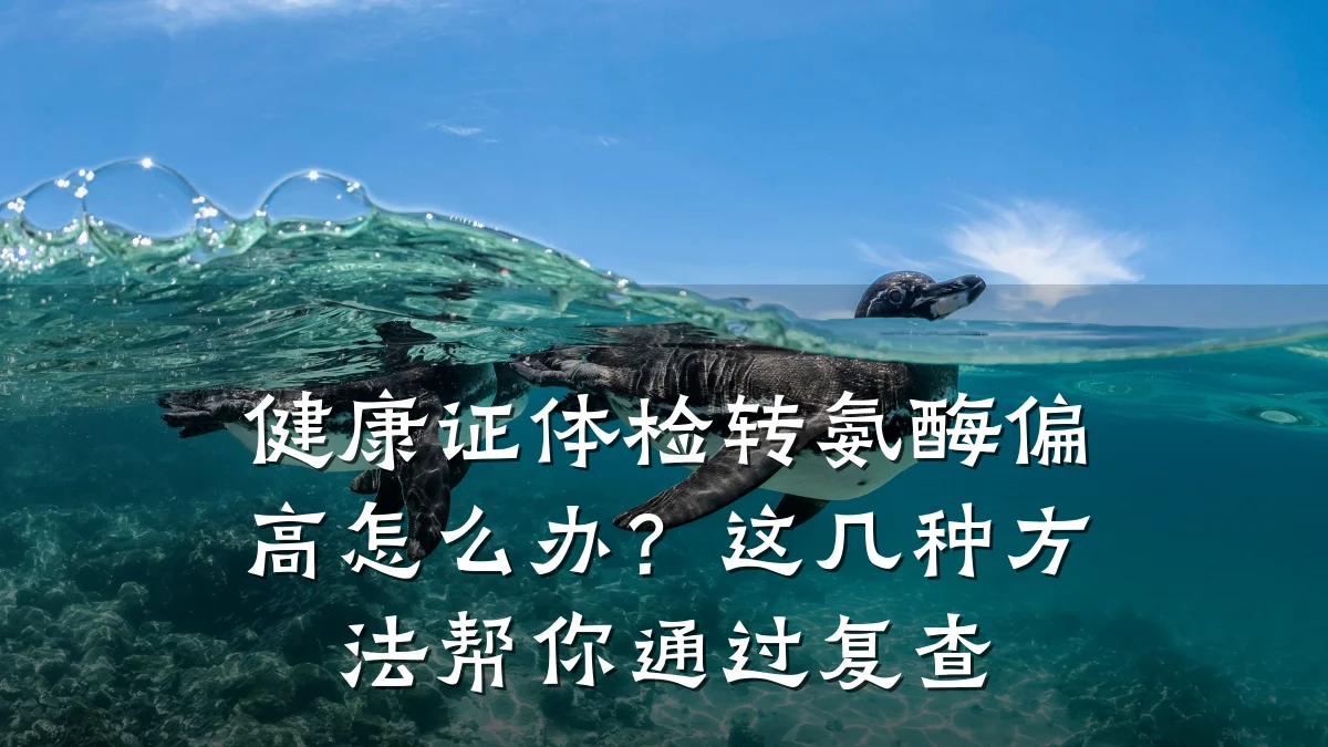 健康证体检转氨酶偏高怎么办?这几种方法帮你通过复查