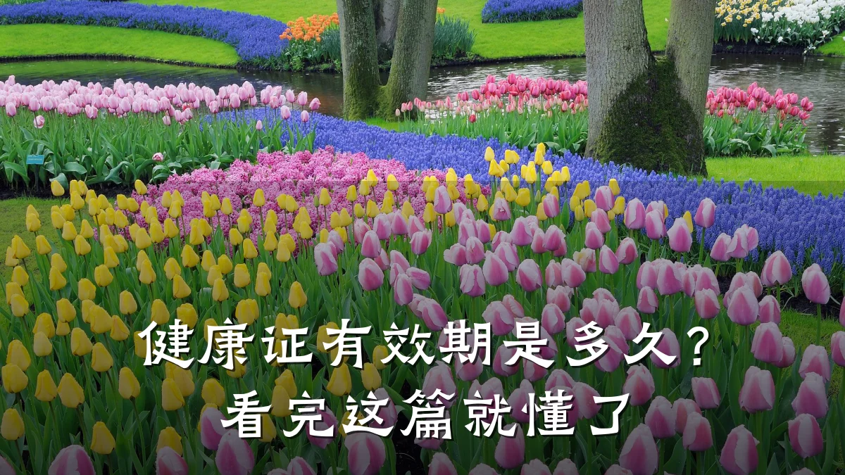 健康证有效期是多久?看完这篇就懂了