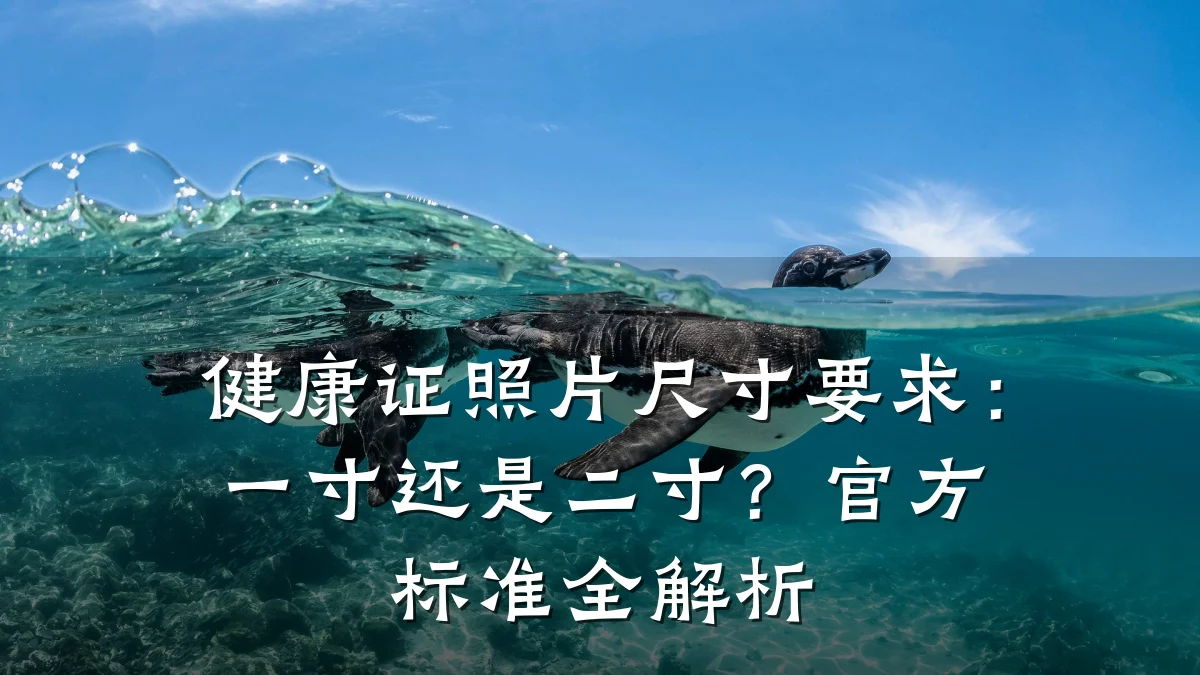 健康证照片尺寸要求:一寸还是二寸?官方标准全解析