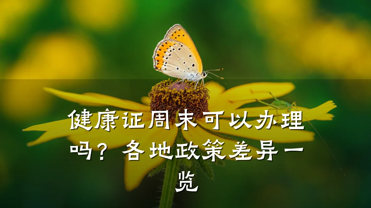 健康证周末可以办理吗?各地政策差异一览