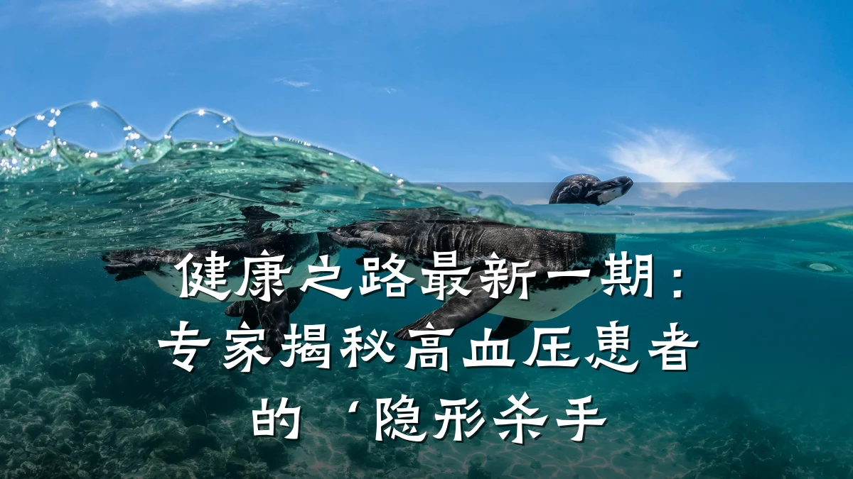 健康之路最新一期:专家揭秘高血压患者的‘隐形杀手