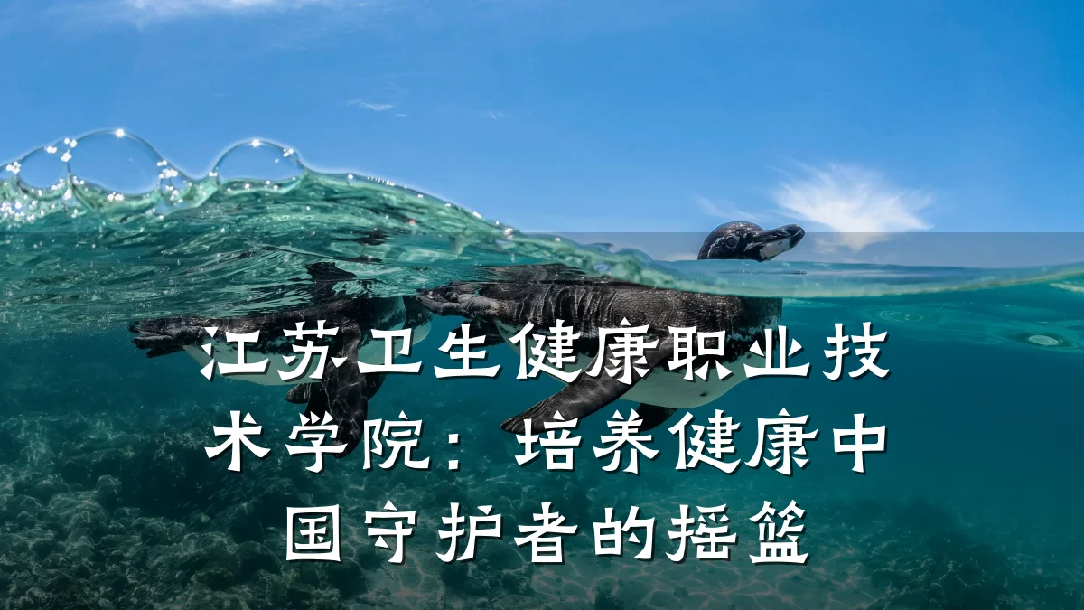 江苏卫生健康职业技术学院:培养健康中国守护者的摇篮