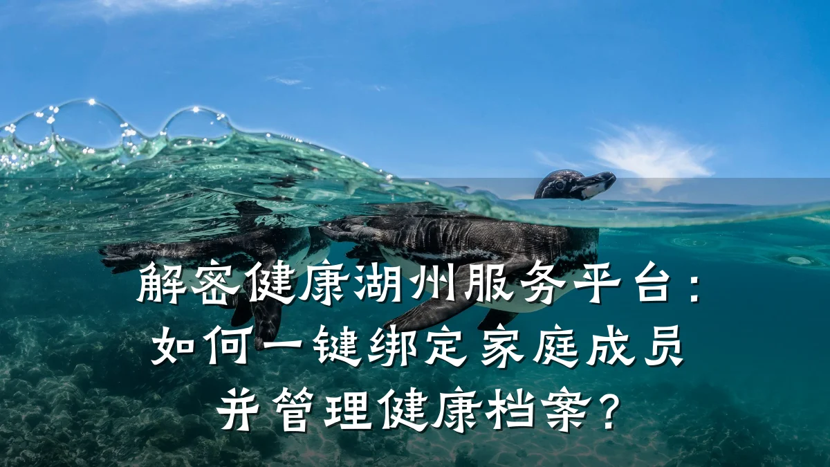 解密健康湖州服务平台:如何一键绑定家庭成员并管理健康档案?