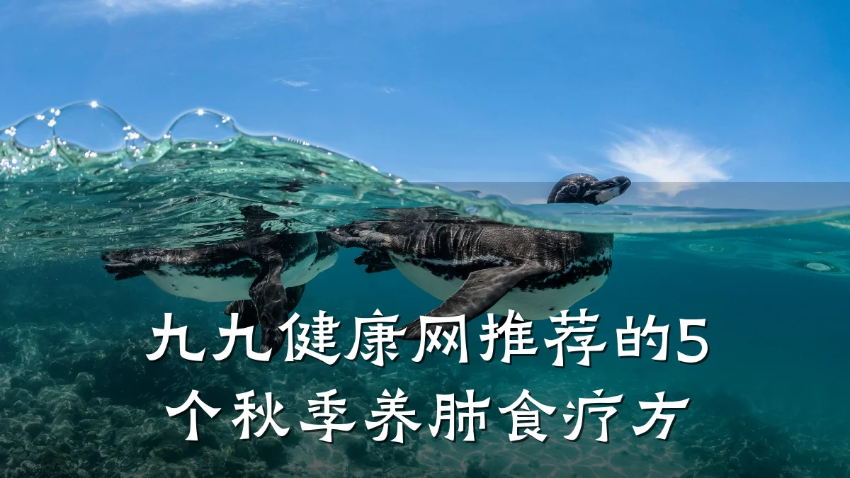 九九健康网推荐的5个秋季养肺食疗方