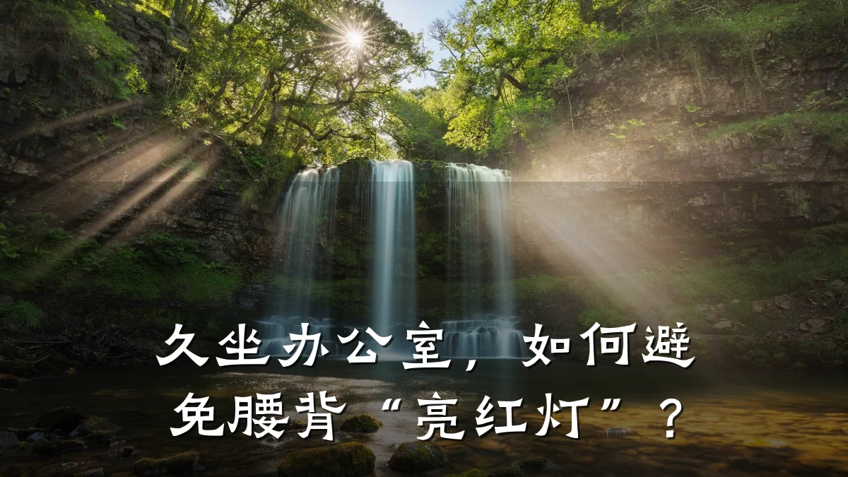 久坐办公室,如何避免腰背“亮红灯”?