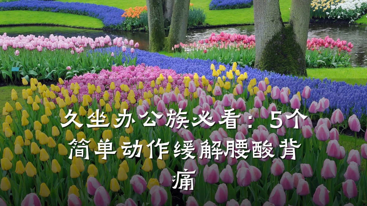 久坐办公族必看:5个简单动作缓解腰酸背痛