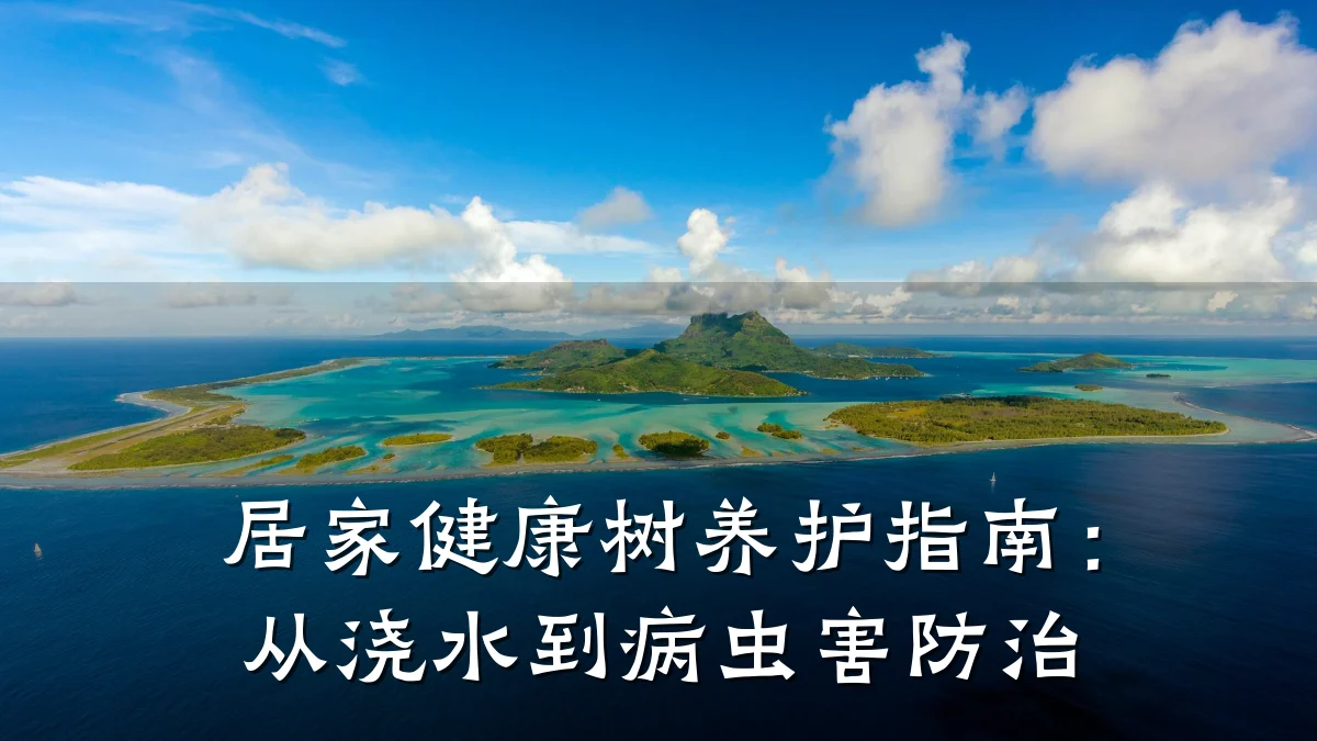 居家健康树养护指南:从浇水到病虫害防治