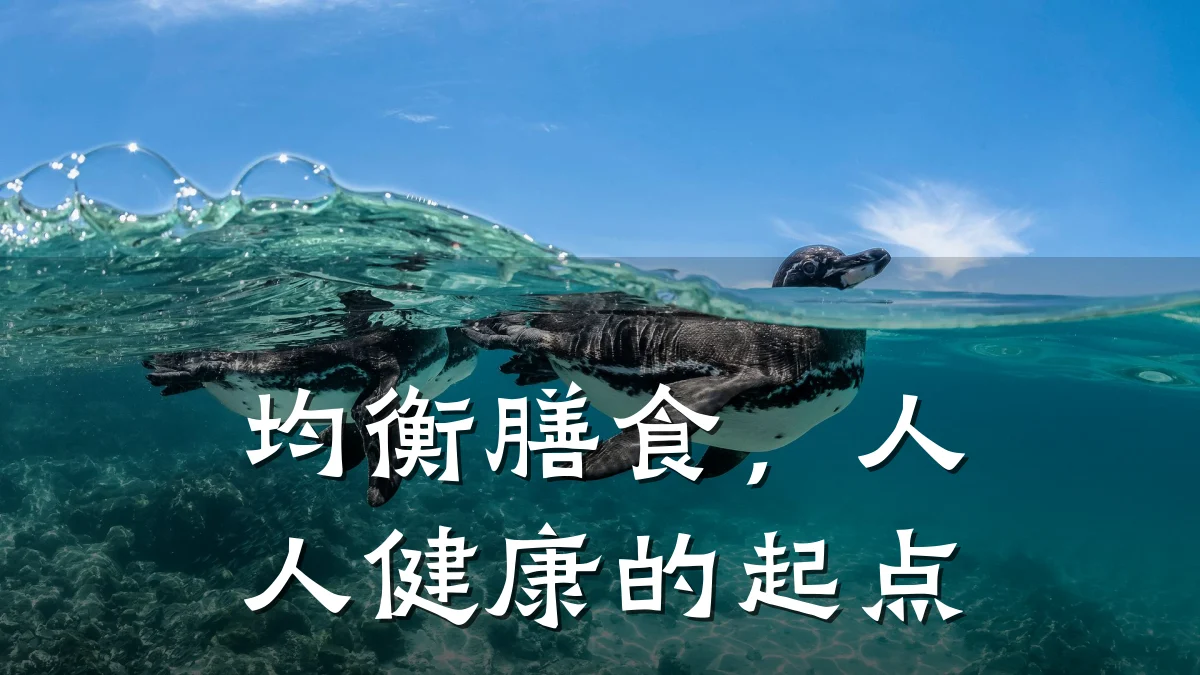 均衡膳食,人人健康的起点