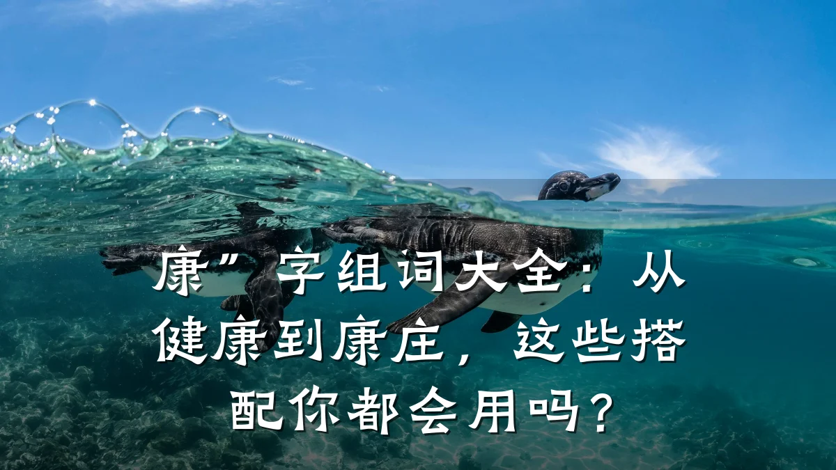 康”字组词大全:从健康到康庄,这些搭配你都会用吗?