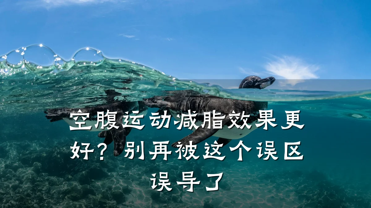空腹运动减脂效果更好?别再被这个误区误导了