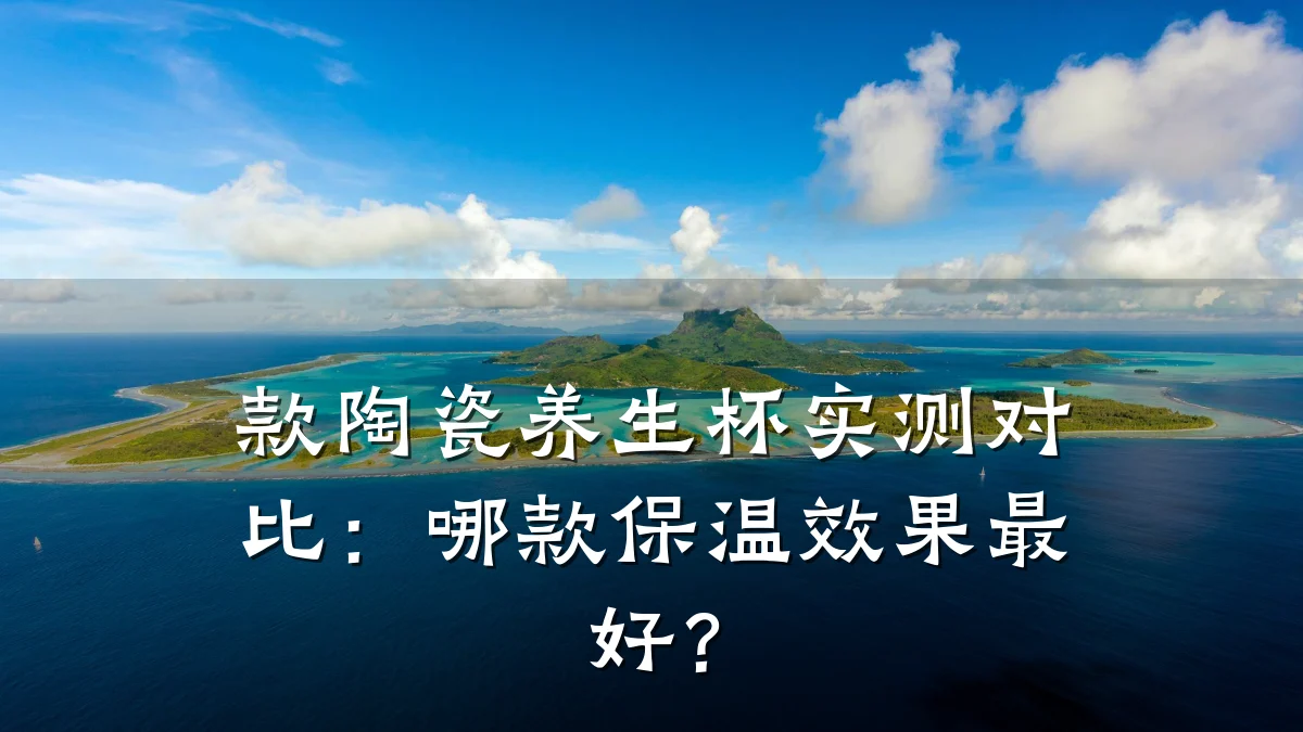 款陶瓷养生杯实测对比:哪款保温效果最好?