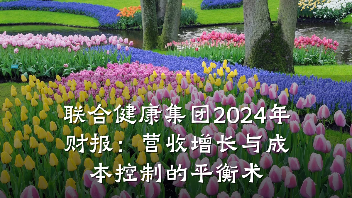 联合健康集团2024年财报:营收增长与成本控制的平衡术