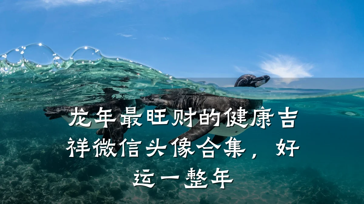 龙年最旺财的健康吉祥微信头像合集,好运一整年